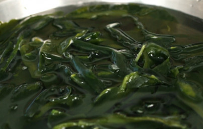 Wakame