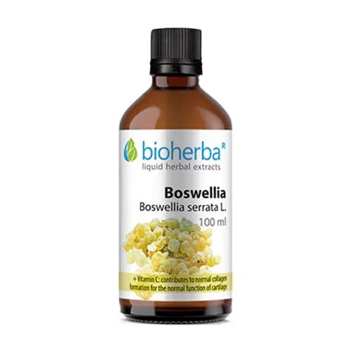 Boswellia Tinktur.