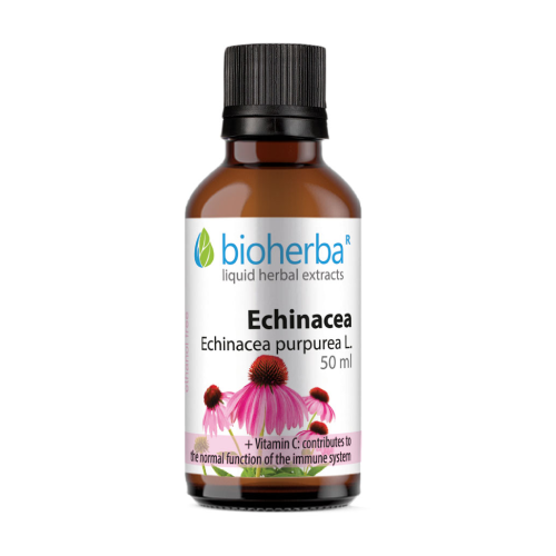 Tinktura Ameriški slamnik = Echinacea-Tinktur.