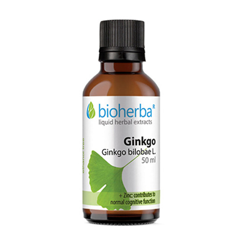 Ginko biloba Tinktur.