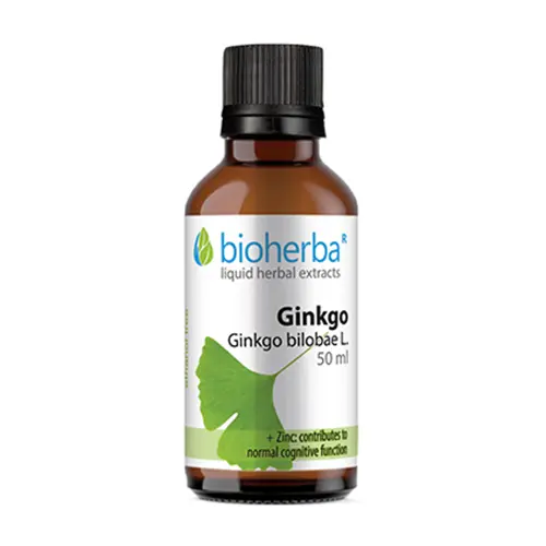 Ginko biloba Tinktur.