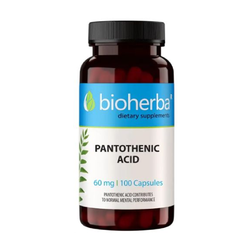 Vitamin B5 (Pantothensäure) 60 mg, 100 Kapseln