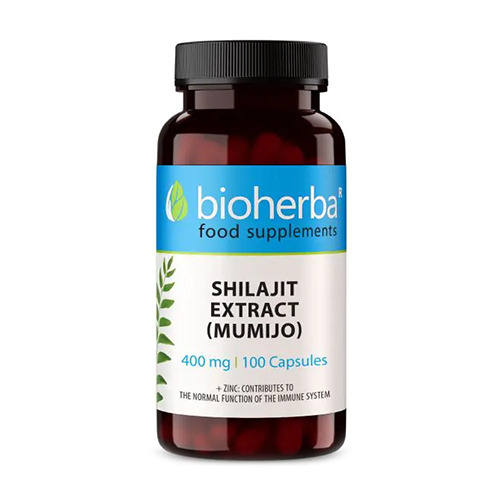 Shilajit (Mumijo) - Beschreibung eines Nahrungsergänzungsmittels.