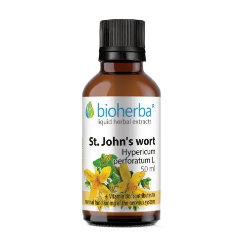 Johanniskraut-Tinktur