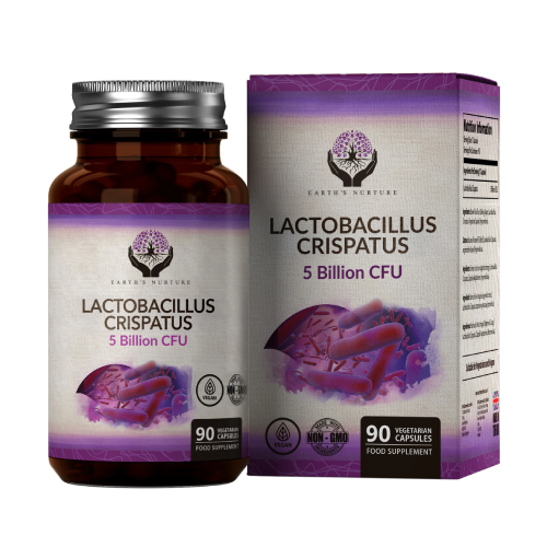 Lactobacillus crispatus – mikrobiologische Kultur