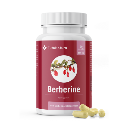 Berberin 500 mg aus dem Extrakt von Berberis aristata
