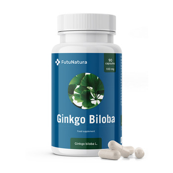 Ginko biloba für das Gedächtnis