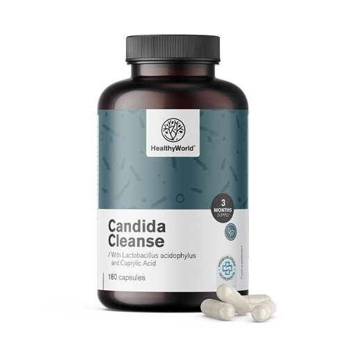 Candida Cleanse mit Lactobacillus acidophilus und Bifidobacterium bifidum