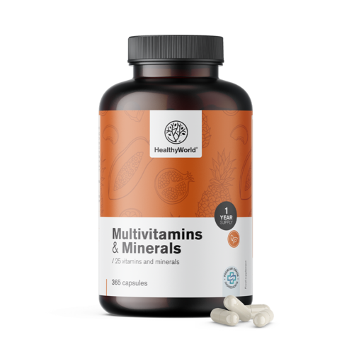 Multivitamine und Mineralien, 365 Kapseln