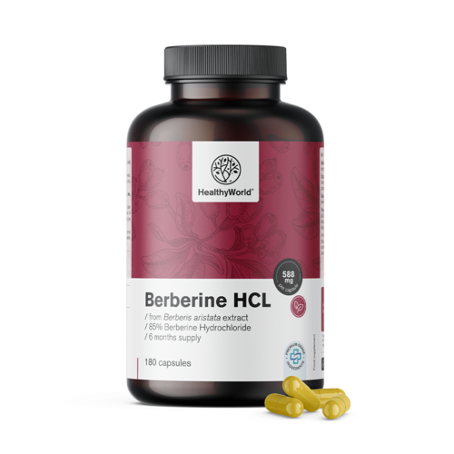 Berberin HCL 500 mg aus dem Extrakt von Berberis aristata