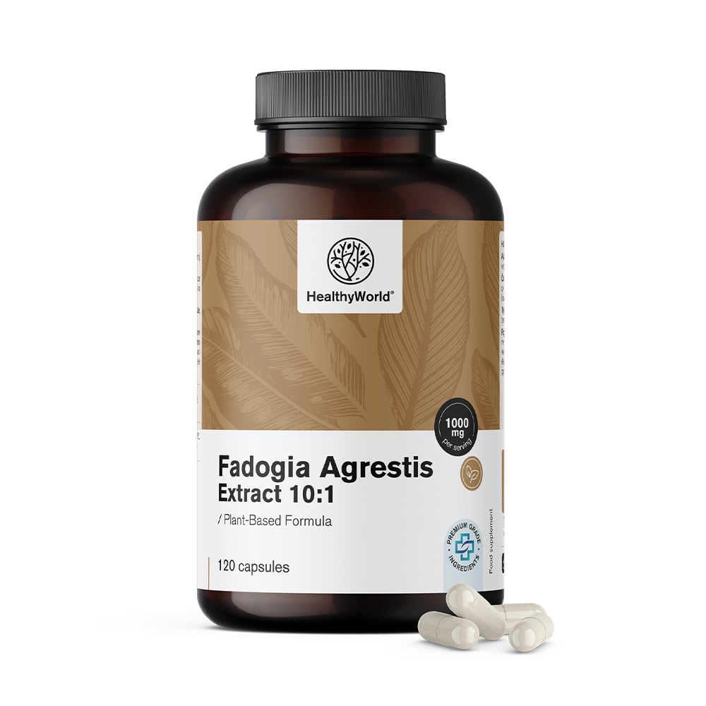 Fadogia Agrestis 1000 mg in Kapseln.