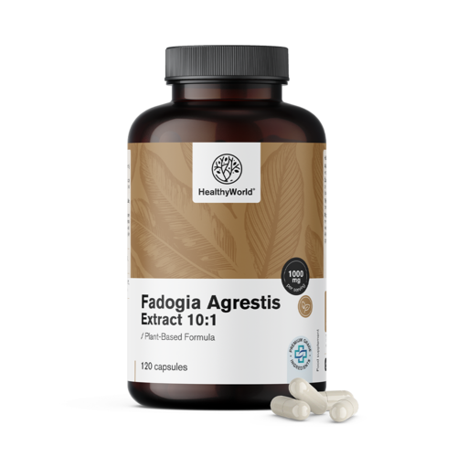 Fadogia Agrestis 1000 mg in Kapseln.