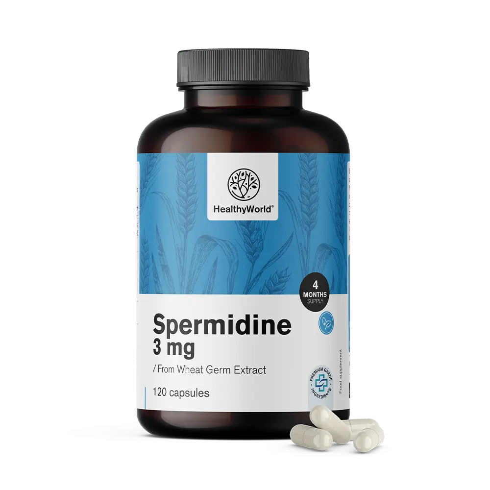 Spermidin 3 mg – aus Weizenkeimextrakt