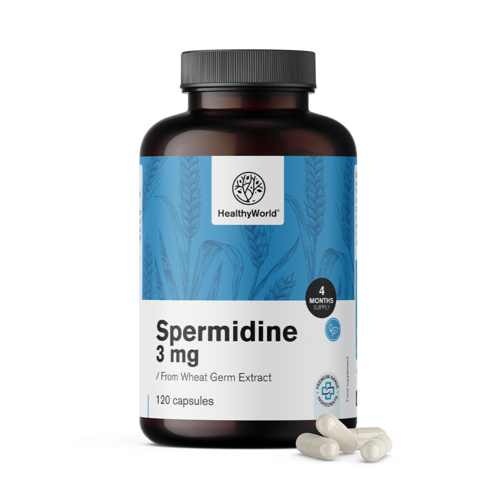 Spermidin 3 mg – aus Weizenkeimextrakt