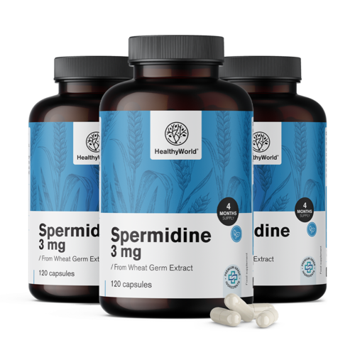 Spermidin 3 mg – aus Weizenkeimextrakt