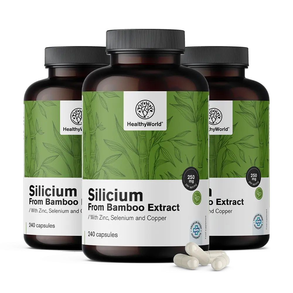 Silicij 250 mg – iz izvlečka bambusa