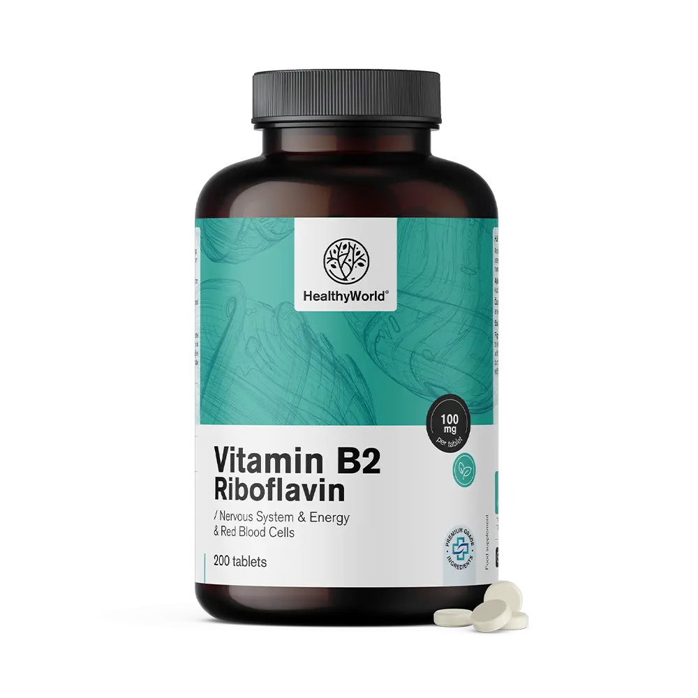Vitamin B2 – Riboflavin 100 mg