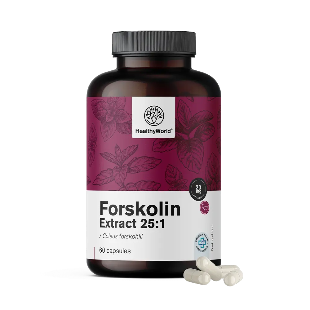 Forskolin – Extrakt aus Indischer Buntnessel 20 mg