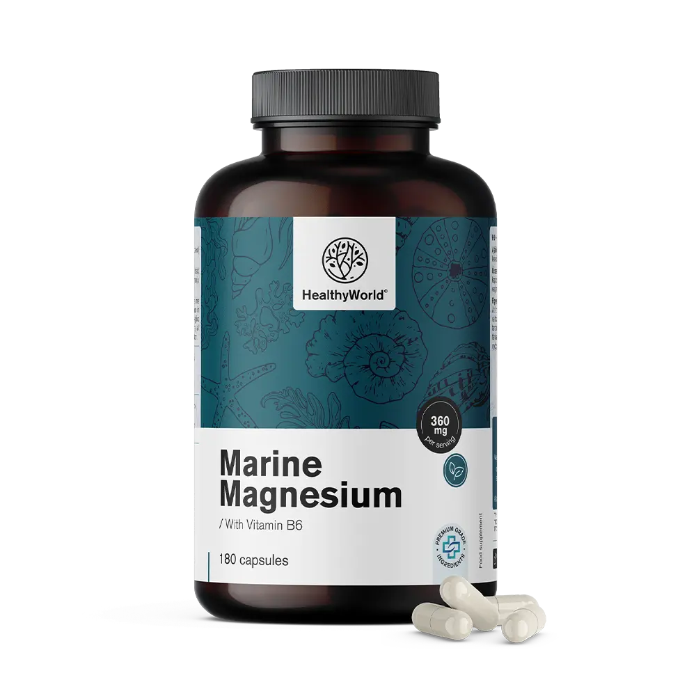 Meeresmagnesium 360 mg
