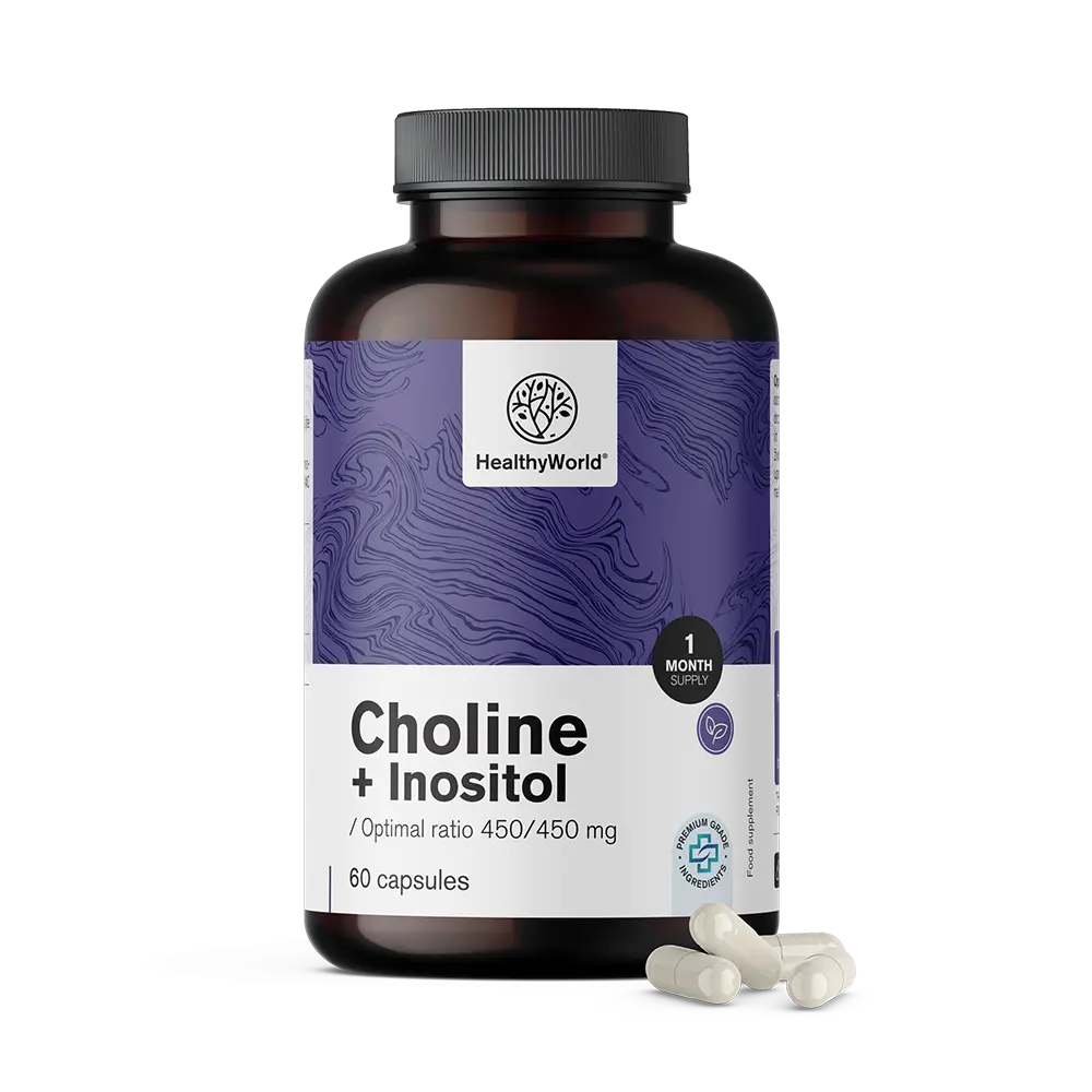 Cholin-Inositol 450/450mg