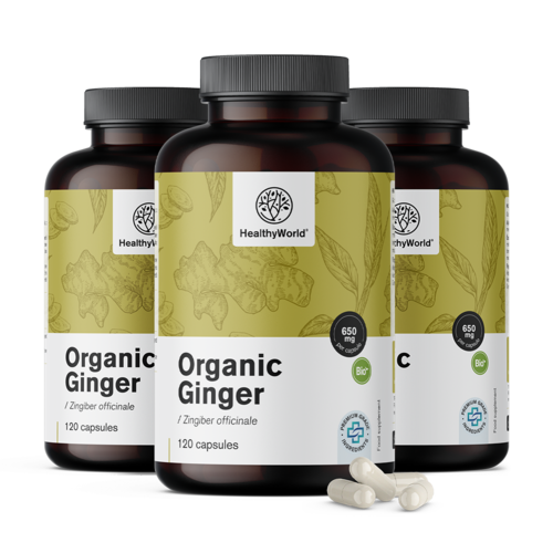 3x BIO Ingwer 650 mg, zusammen 360 Kapseln