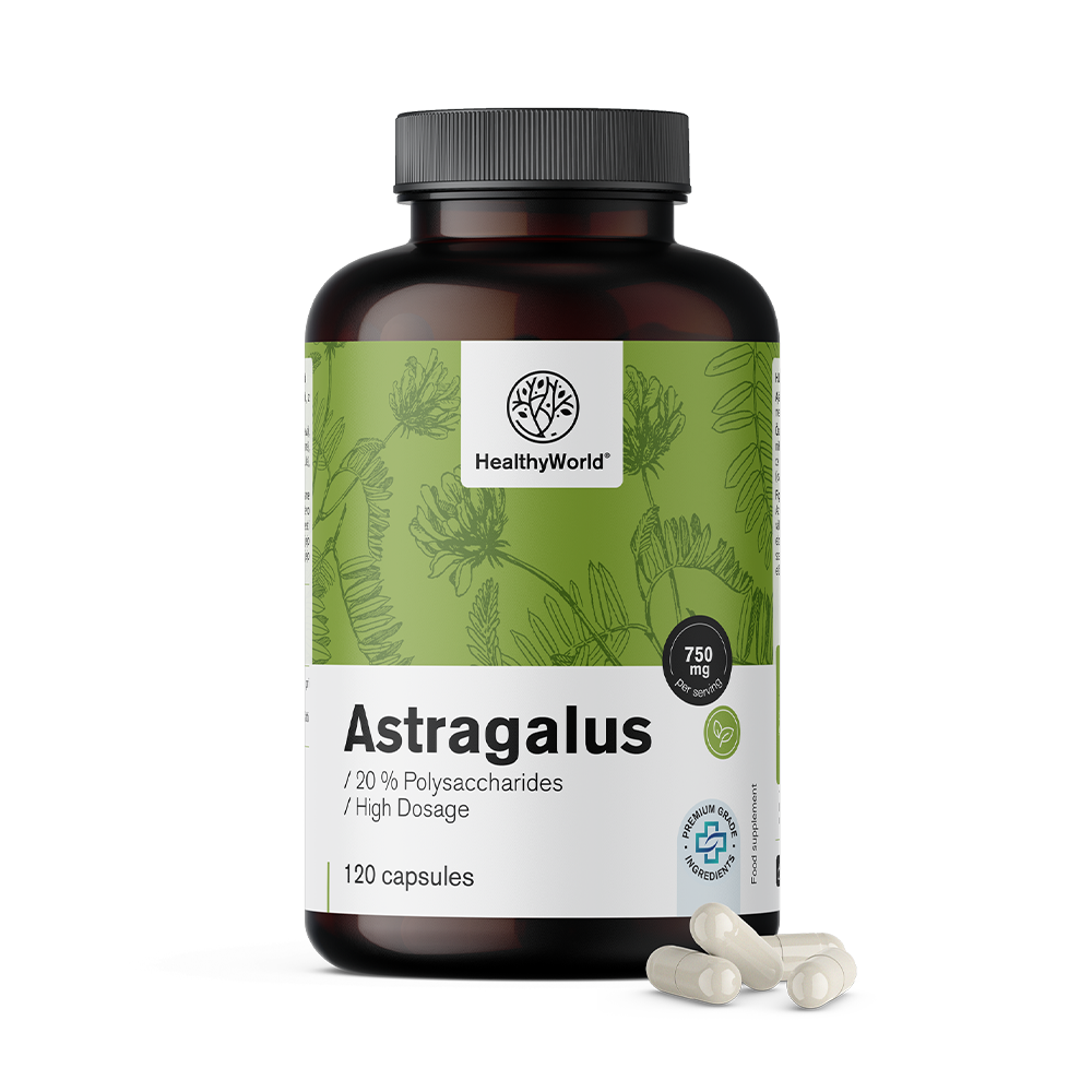 Astragalus – Extrakt