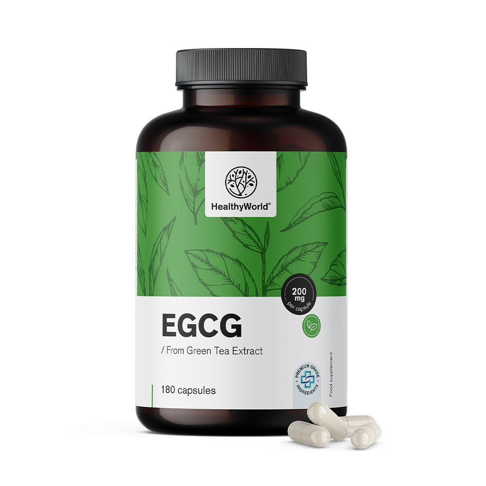 EGCG – aus Grüntee-Extrakt