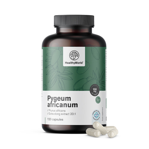 Pygeum – Extrakt aus afrikanischem Pflaumenbaum in Kapseln