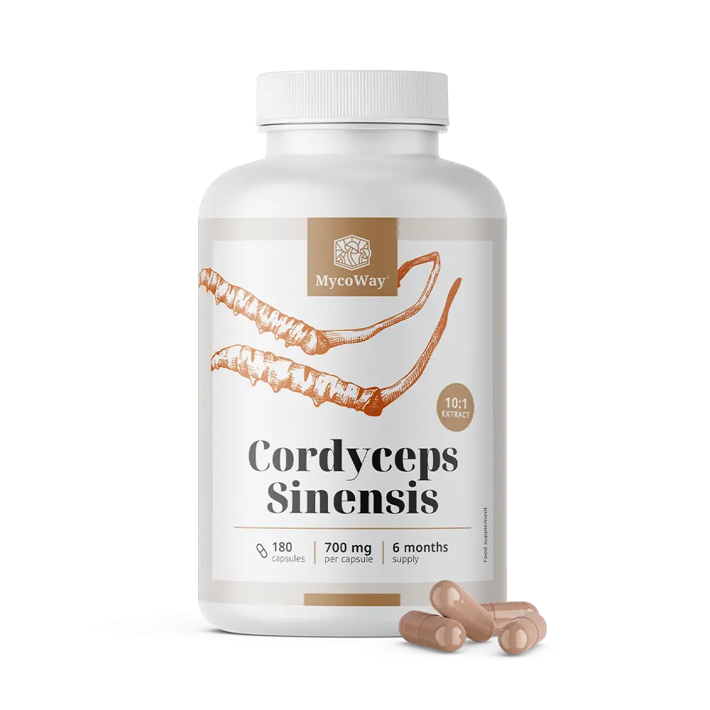Cordyceps sinensis 1400 mg - Extrakt 10:1
