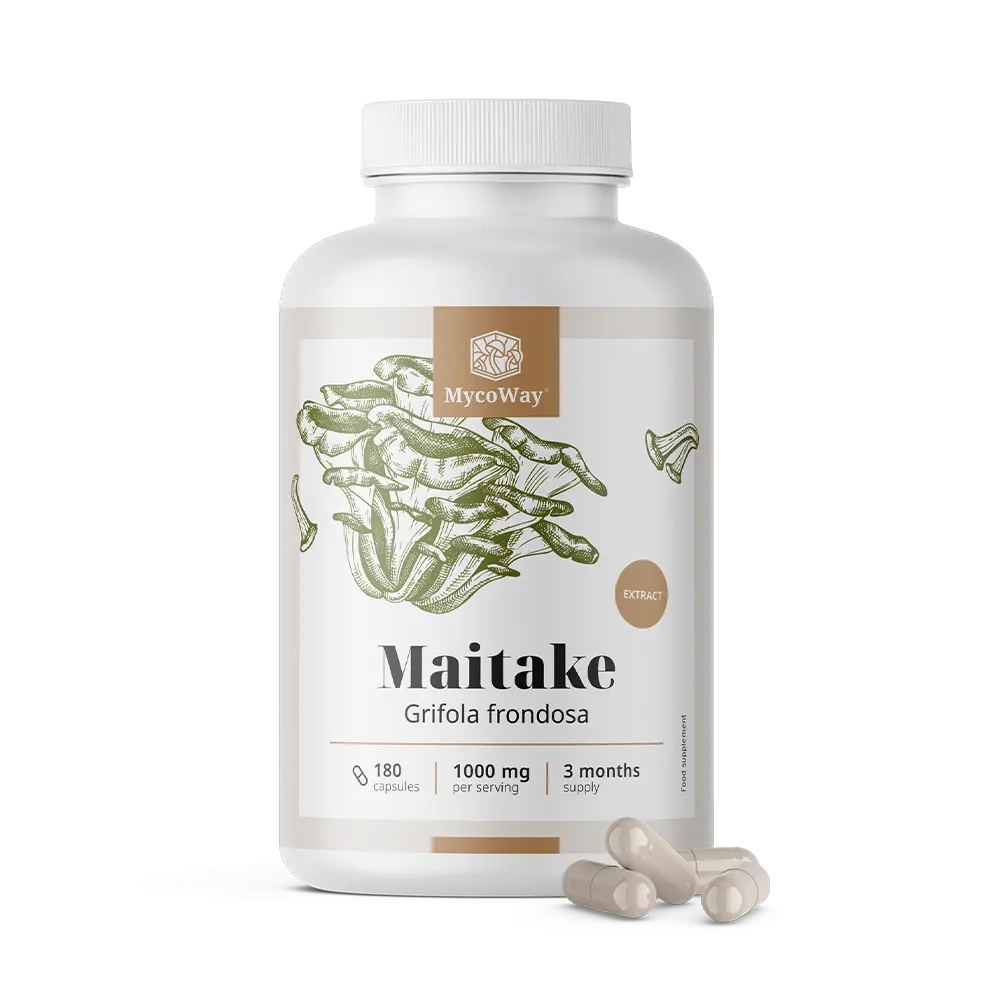 Maitake 1000 mg - Extrakt