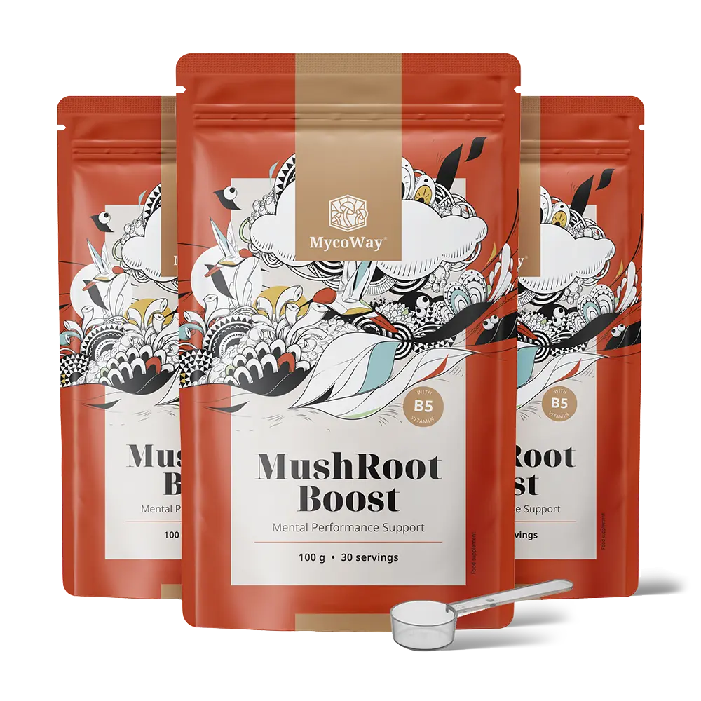 MushRoot Boost - Getränk für geistige Leistungsfähigkeit