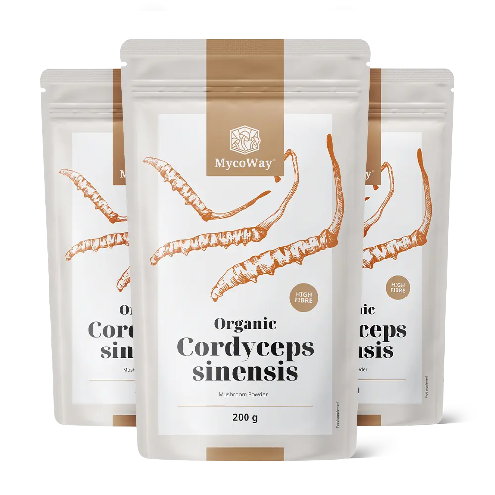 BIO Cordyceps sinensis in Pulverform