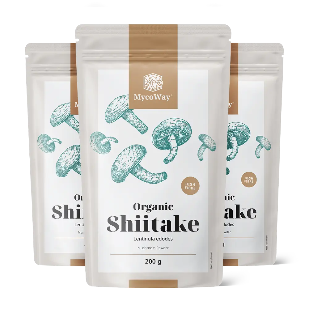 BIO Shiitake v prahu
