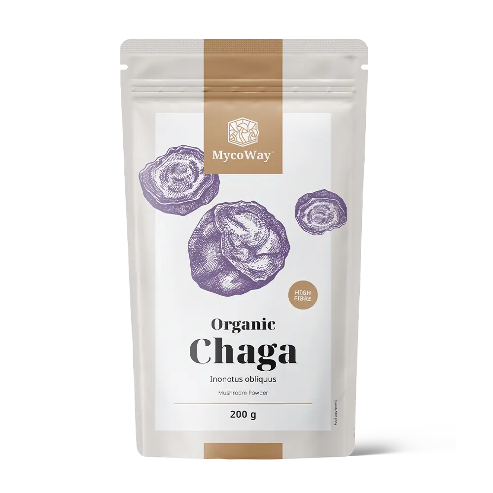BIO Chaga Pulver