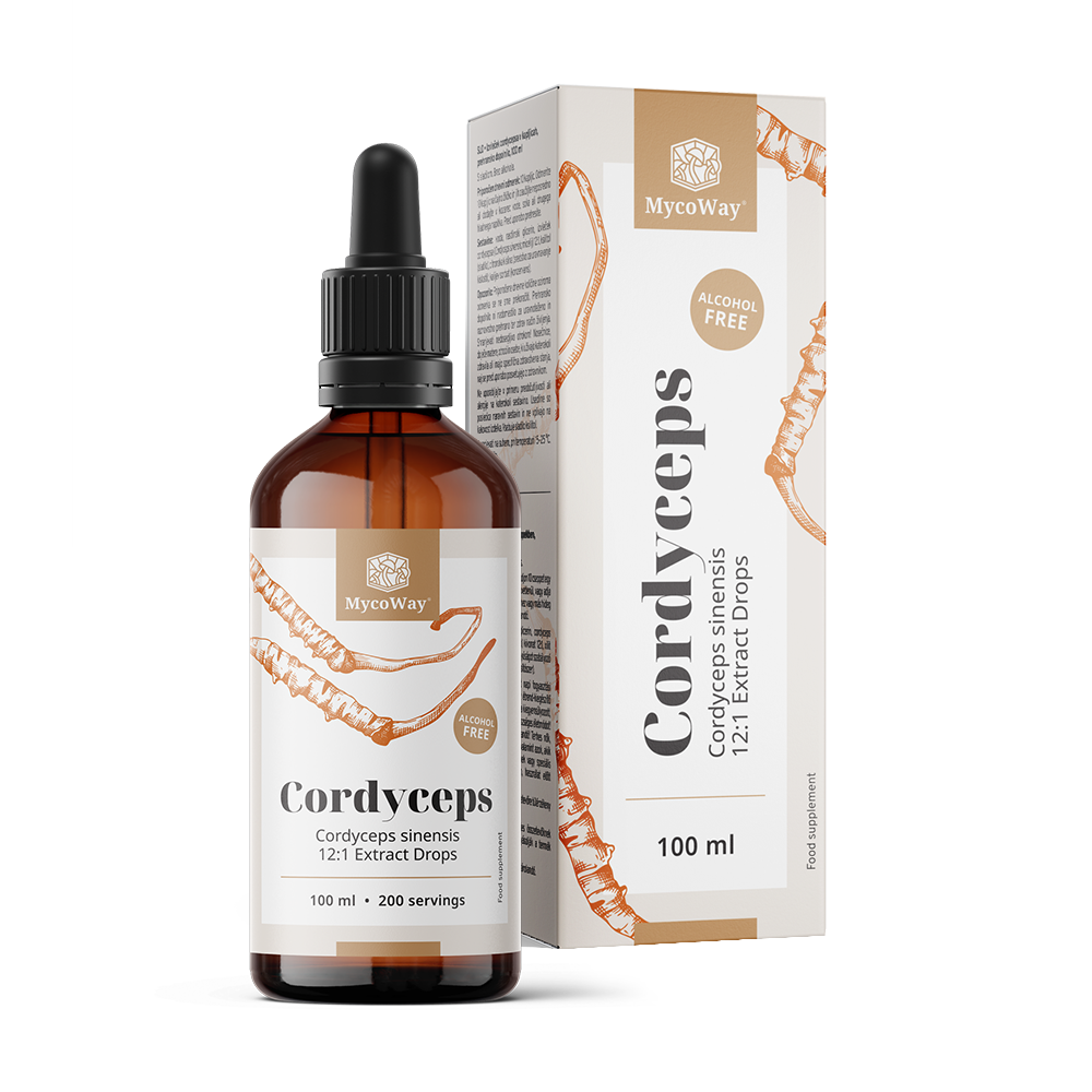 Cordyceps - Extrakt in Tropfen