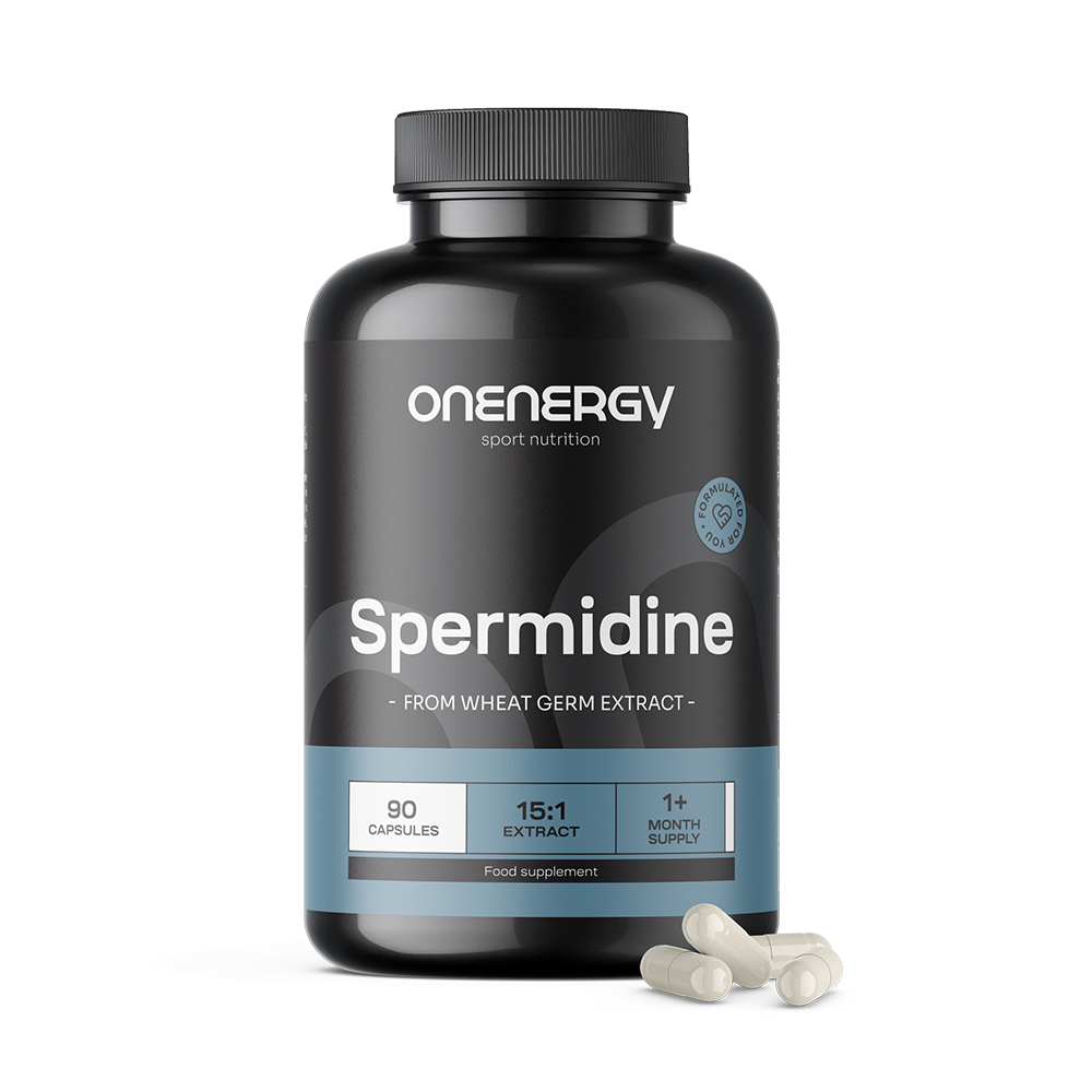 Spermidin – aus Weizenkeimextrakt