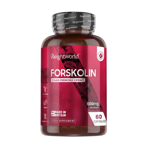 Forskolin (indische Brennnessel) Kapseln.